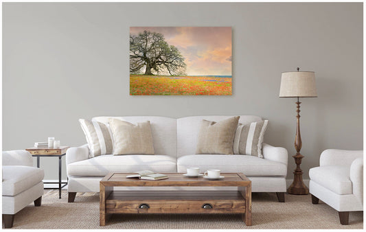 Giant Oak on Wildflower Hill