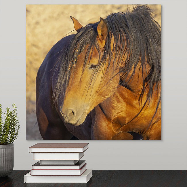 Wild Horses | McCullough Bay Stallion II