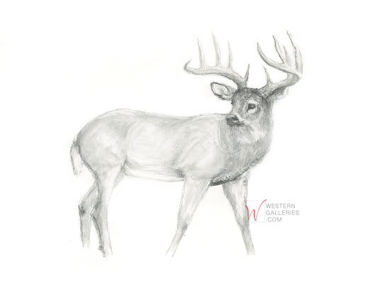 Big Buck
