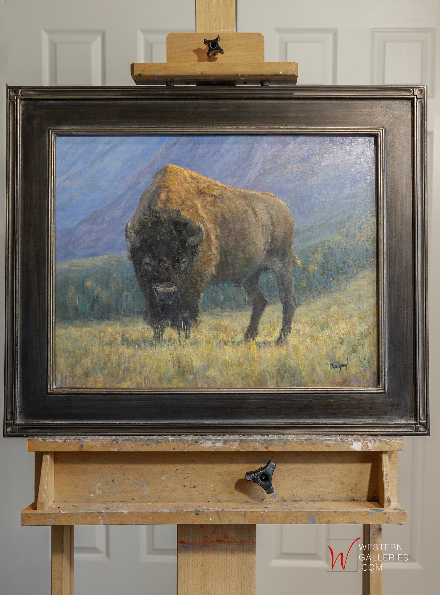 Bison On Ridge