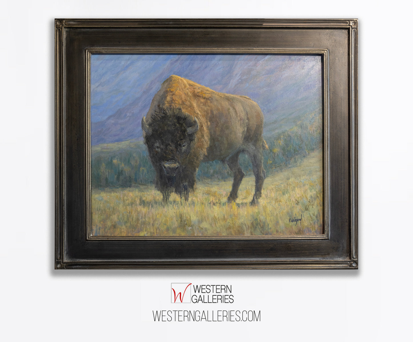Bison On Ridge