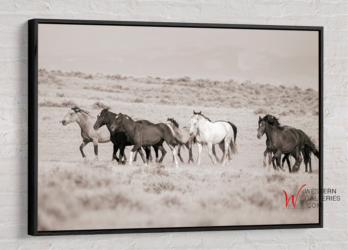 Wild Horses | McCullough Family Group Trotting