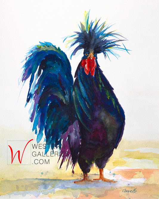 Black Rooster