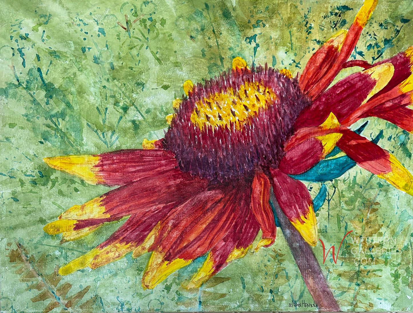 Blanket Flower