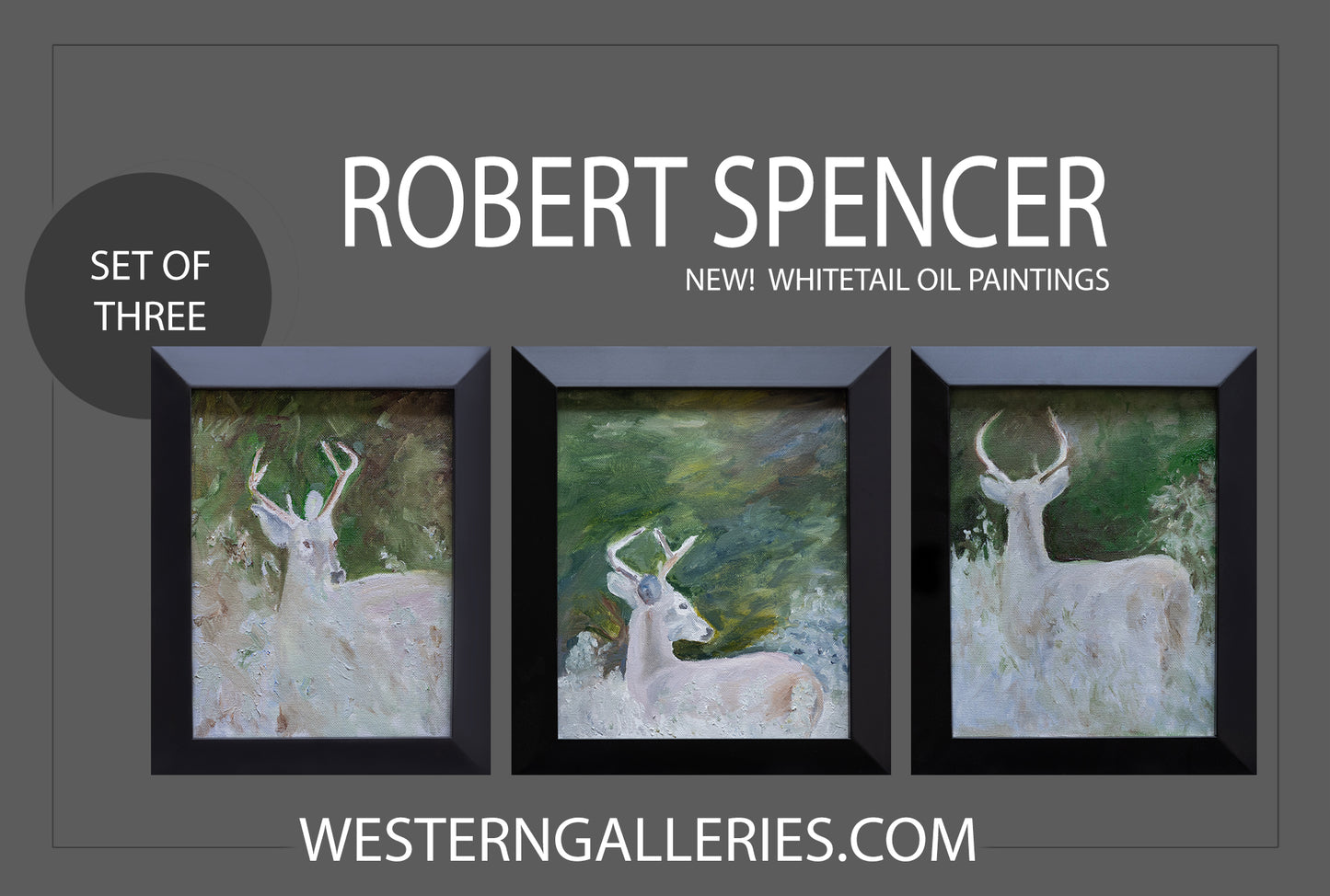 Whitetail Bucks (Series of 3 - With Options)