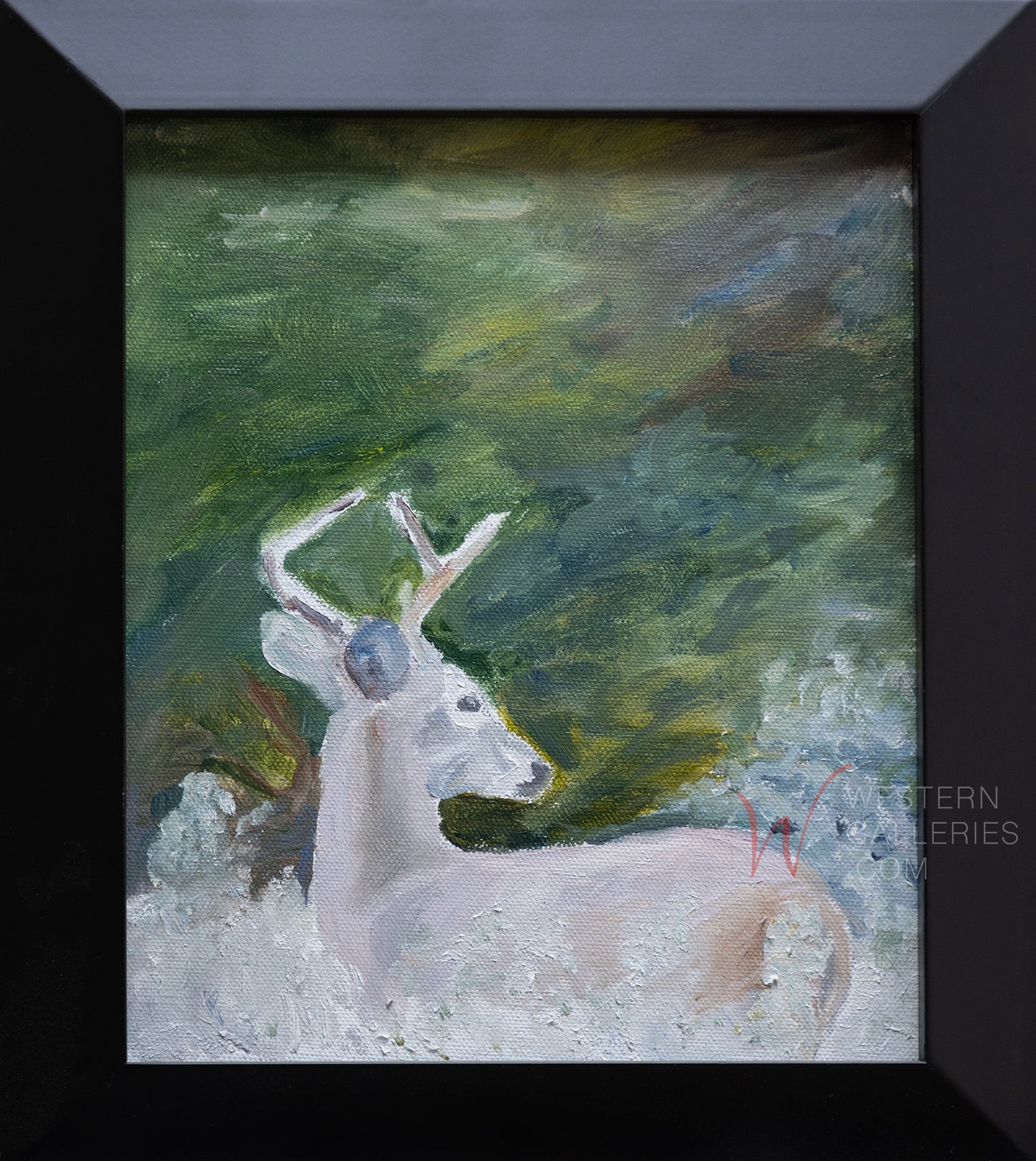 Whitetail Bucks (Series of 3 - With Options)