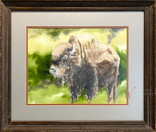 Buffalo