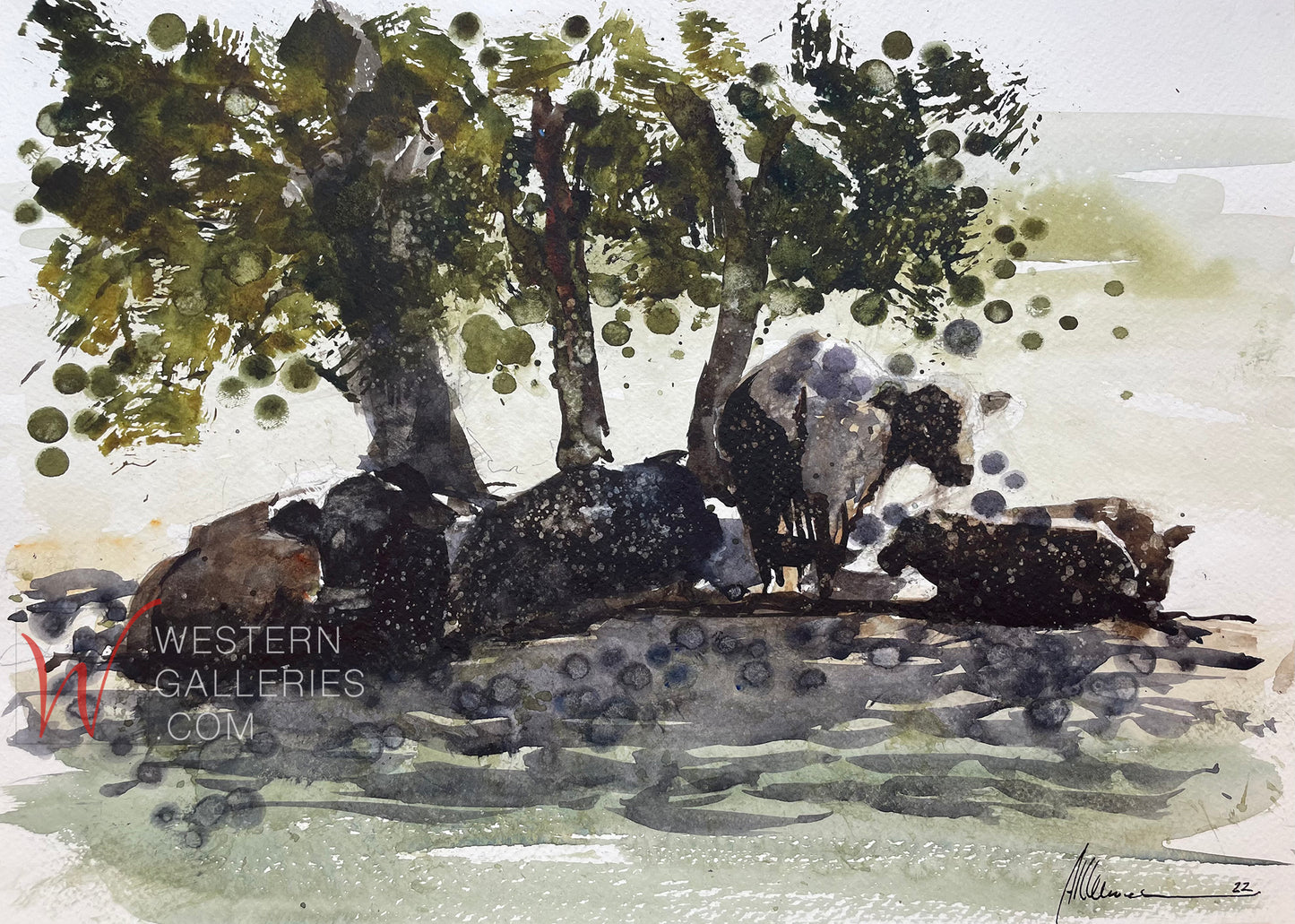 Cattle In Shade