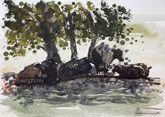 Cattle In Shade