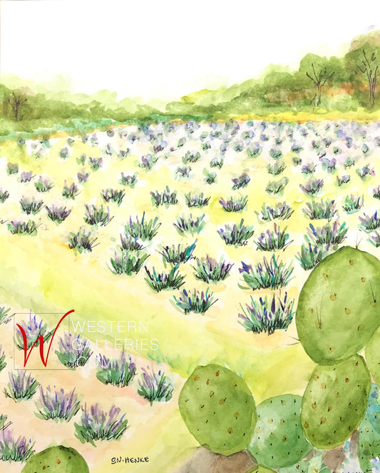 Lavender Farm