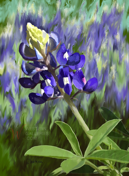 Elegant Bluebonnet Portrait
