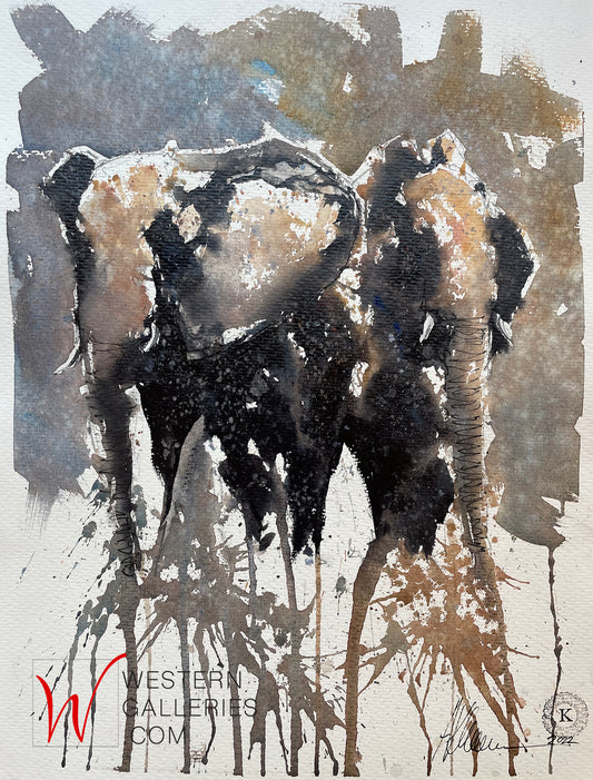 Elephants of Chobe II