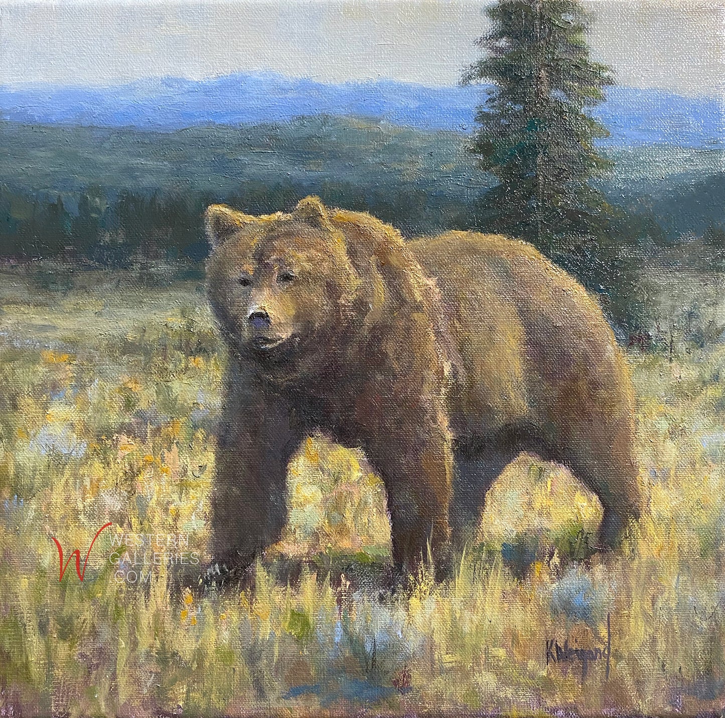 Grizzly Walking