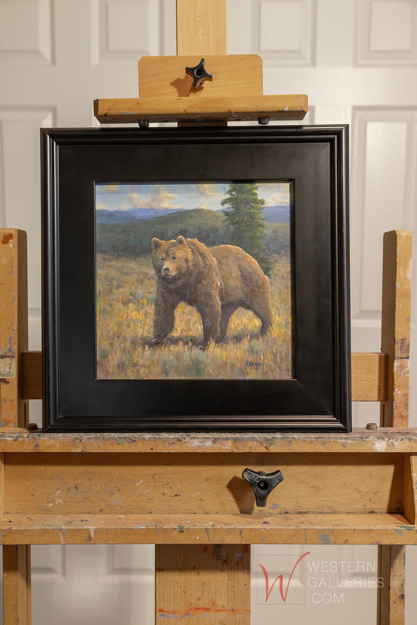 Grizzly Walking