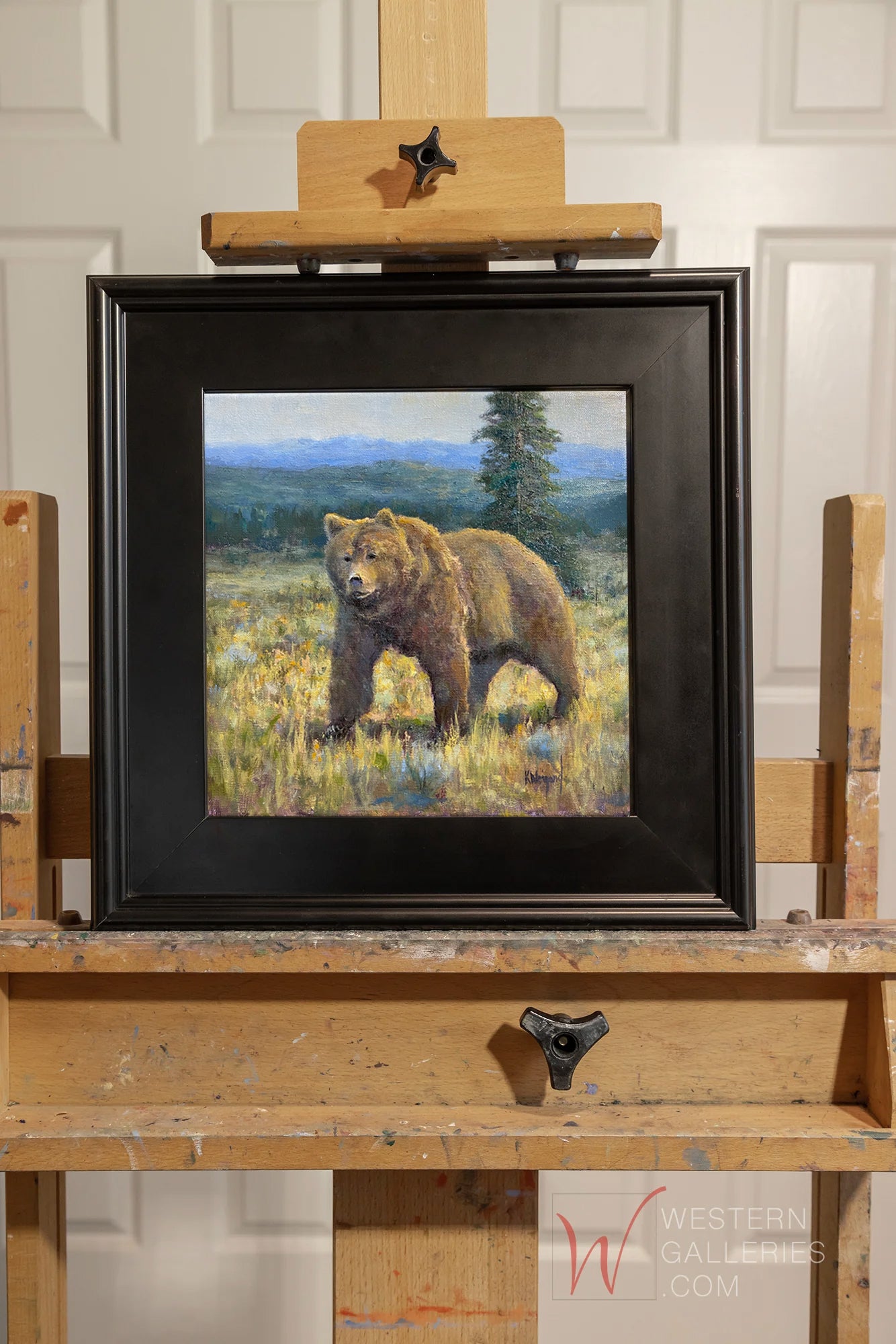 Grizzly Walking