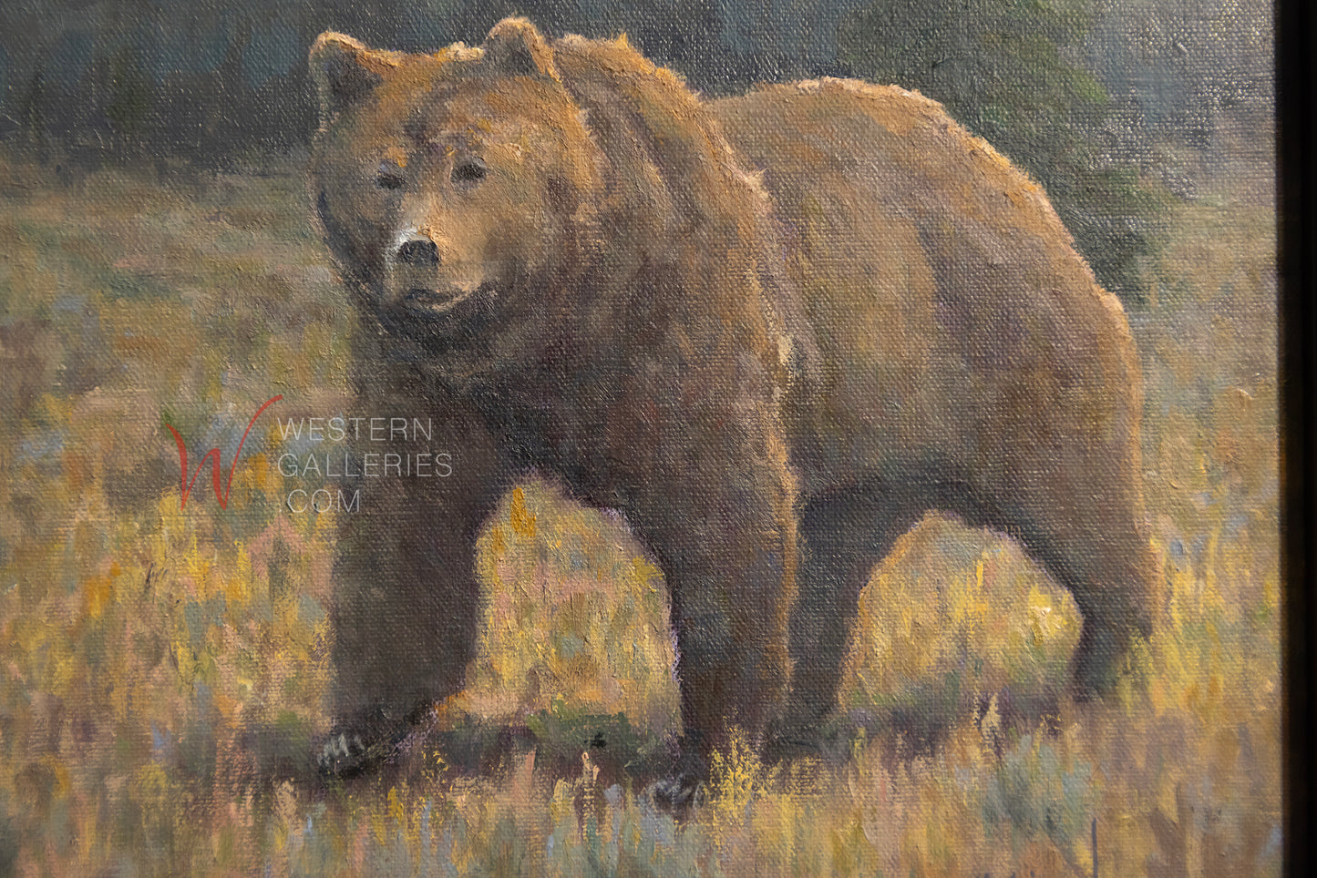 Grizzly Walking