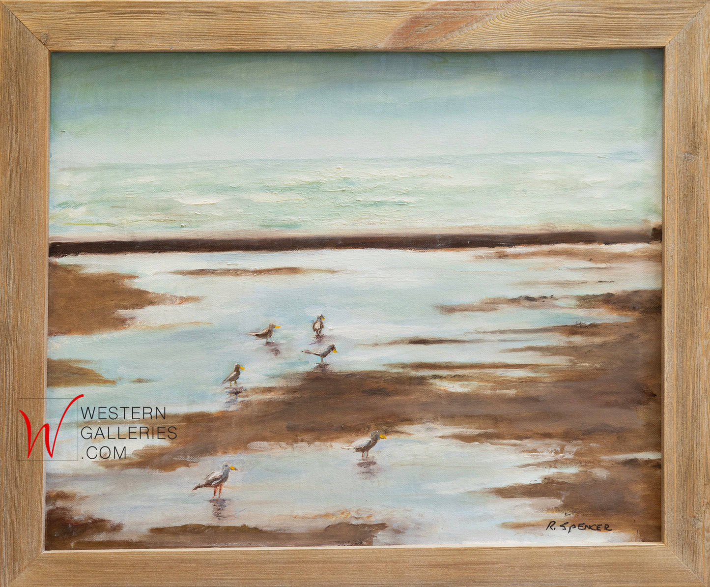 Gulls Wading