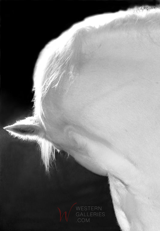 Henry's Halo