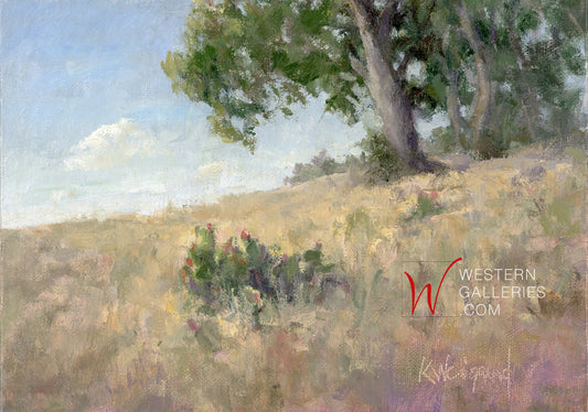 Hill Country Pasture