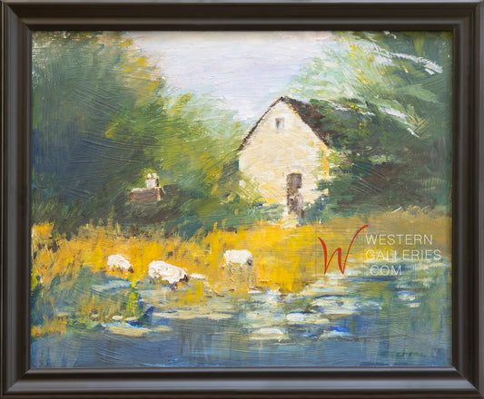 Hill Country Sheep