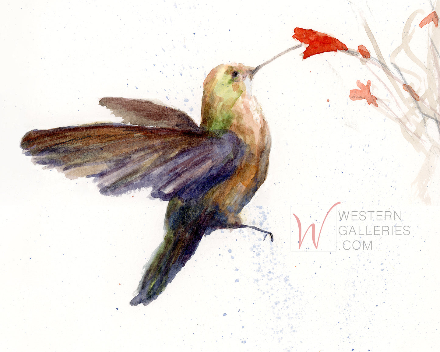 Hummingbird & Red Bloom Watercolor