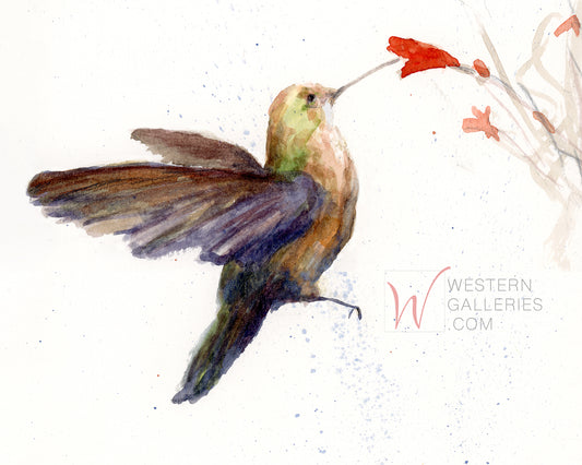 Hummingbird & Red Bloom Watercolor