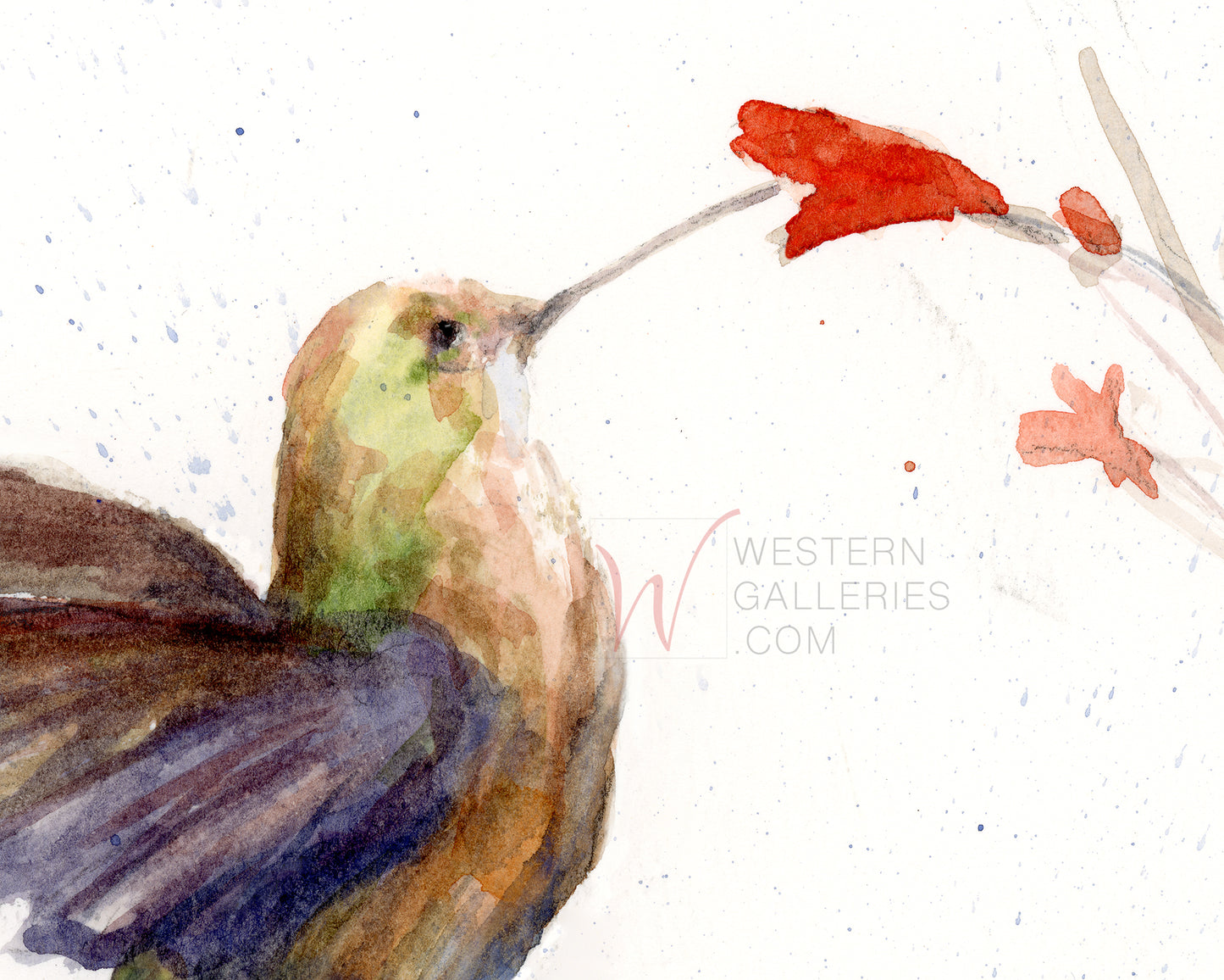 Hummingbird & Red Bloom Watercolor