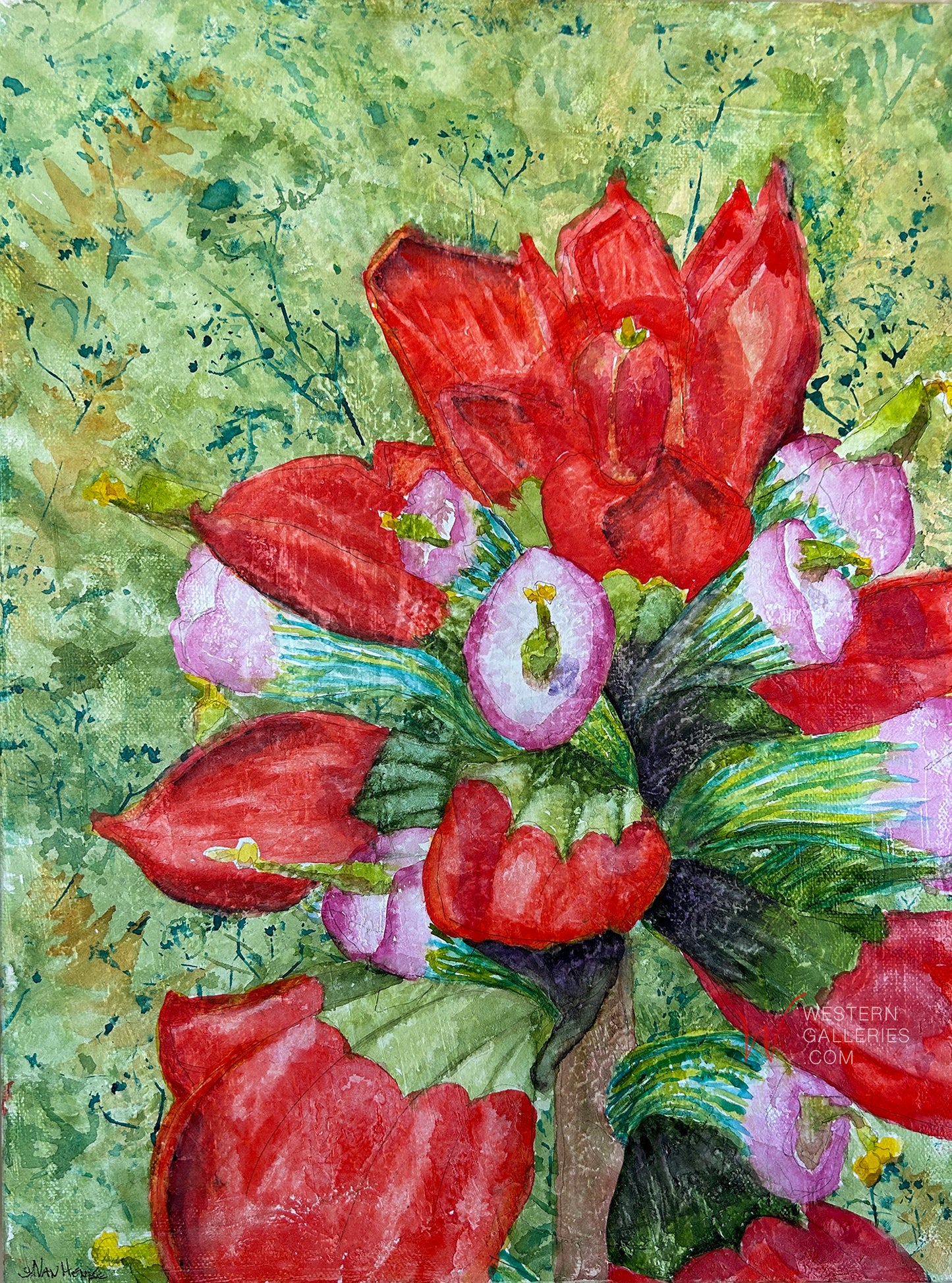 Indian Paintbrush