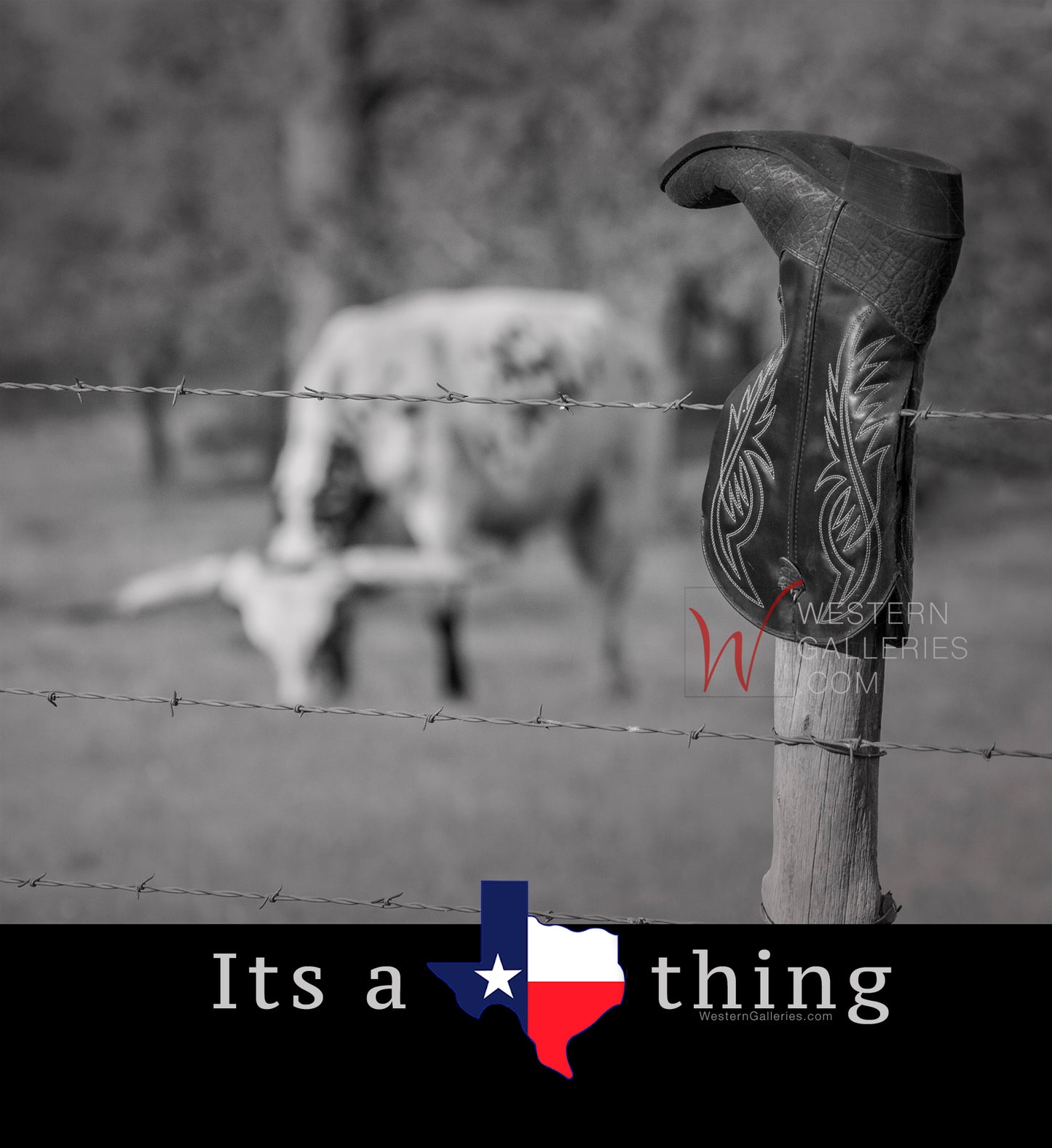 Its a Texas Thing (options)