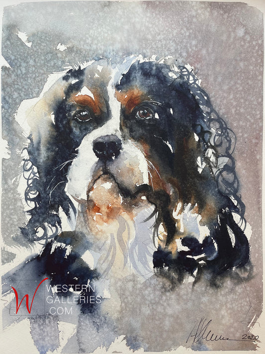 King Charles Spaniel
