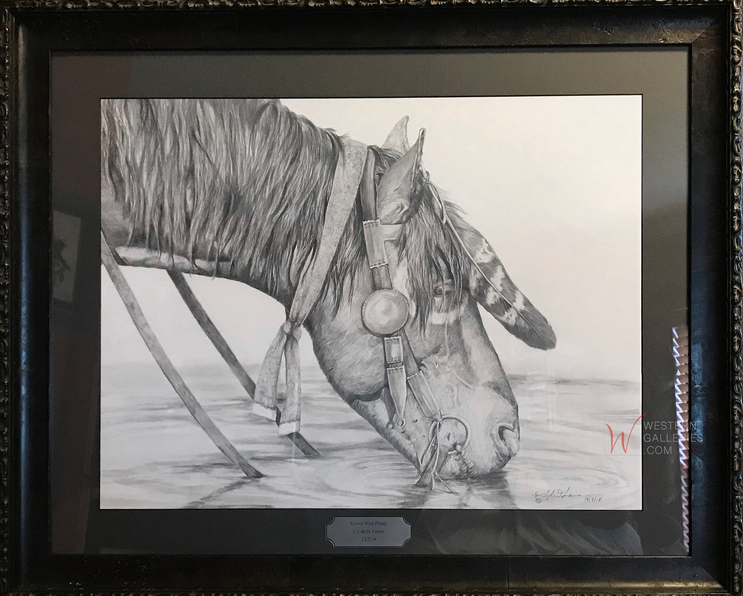 Kiowa War Pony