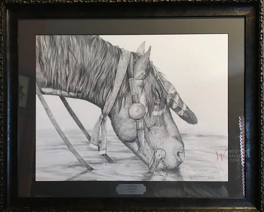 Kiowa War Pony