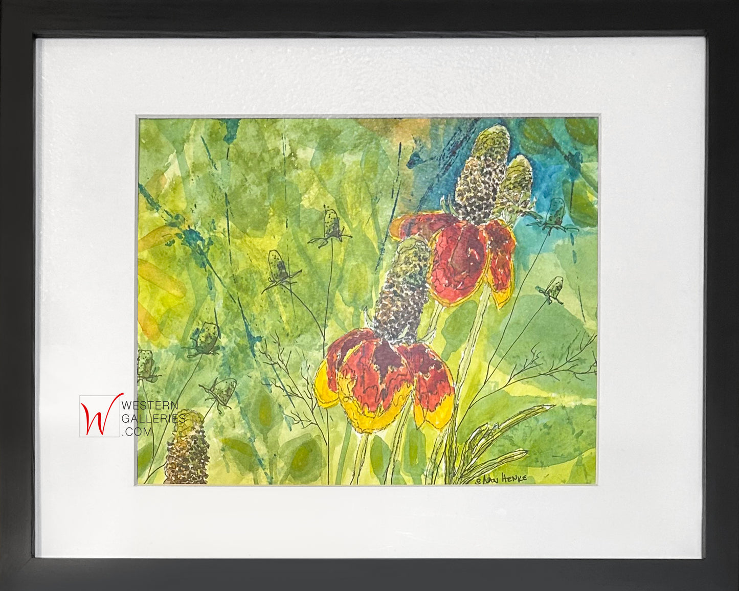Mexican Hat Wildflowers