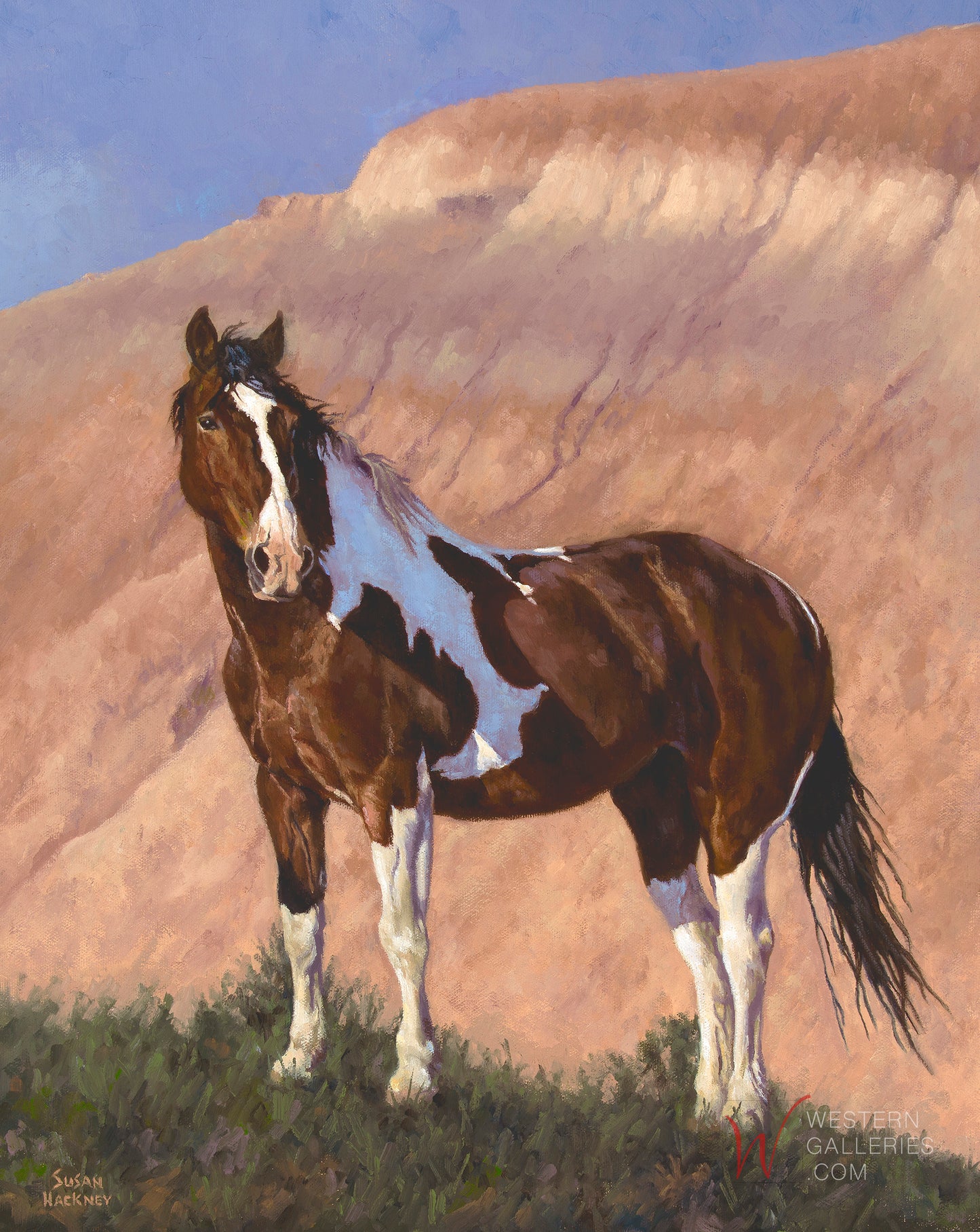 Monarch of The Plains