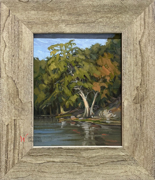 Morning Glow on Cypress