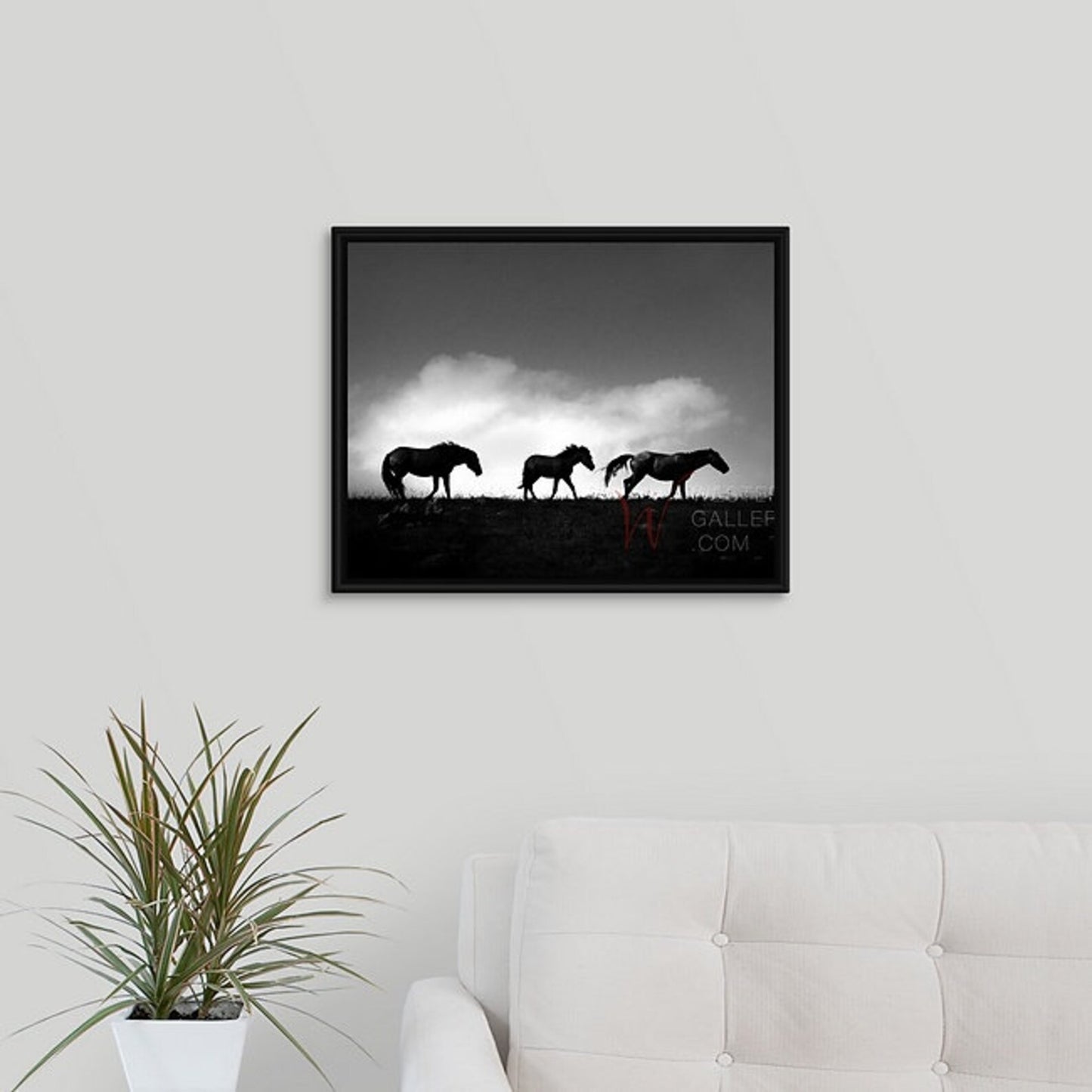 Wild Horses | Moving His Family | Pryor