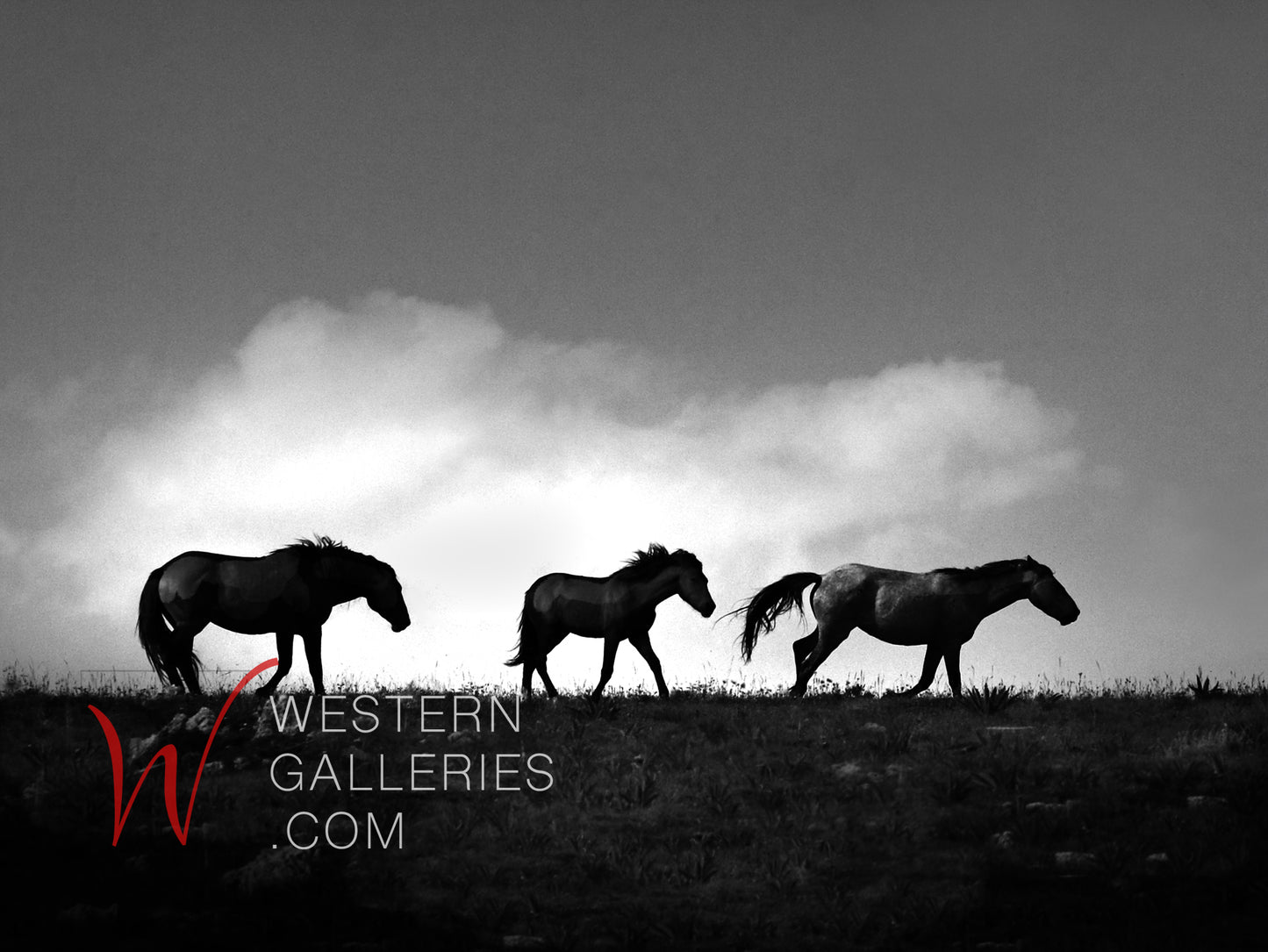 Wild Horses | Moving His Family | Pryor