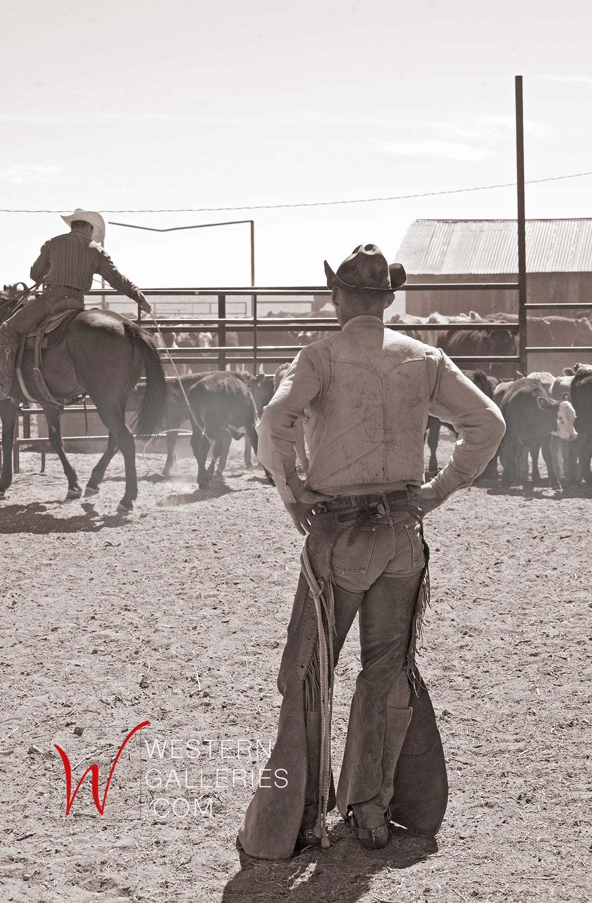Cowboy Photography Suffolk Based Location And Studio Commercial cowboy-photography-suffolk-based-location-and-studio-commercial