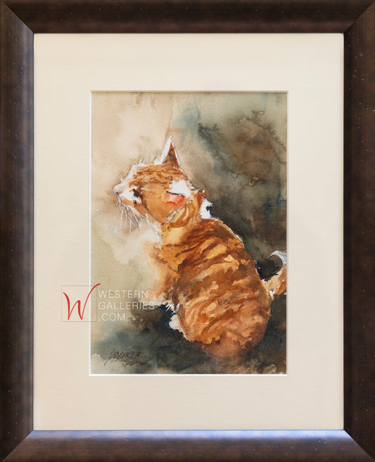 Rockport Cat