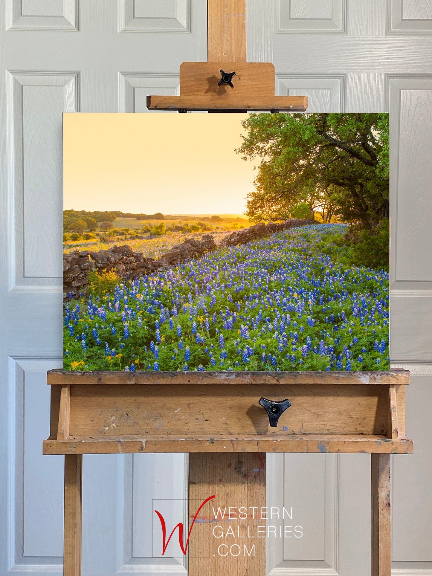Rock Wall Bluebonnets