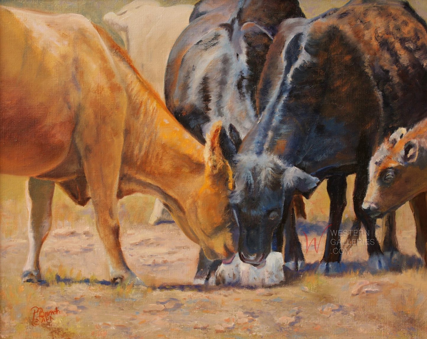 The Salt Lick