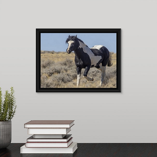 Wild Horses | Washakie Trotting By (Color, B&W Options)