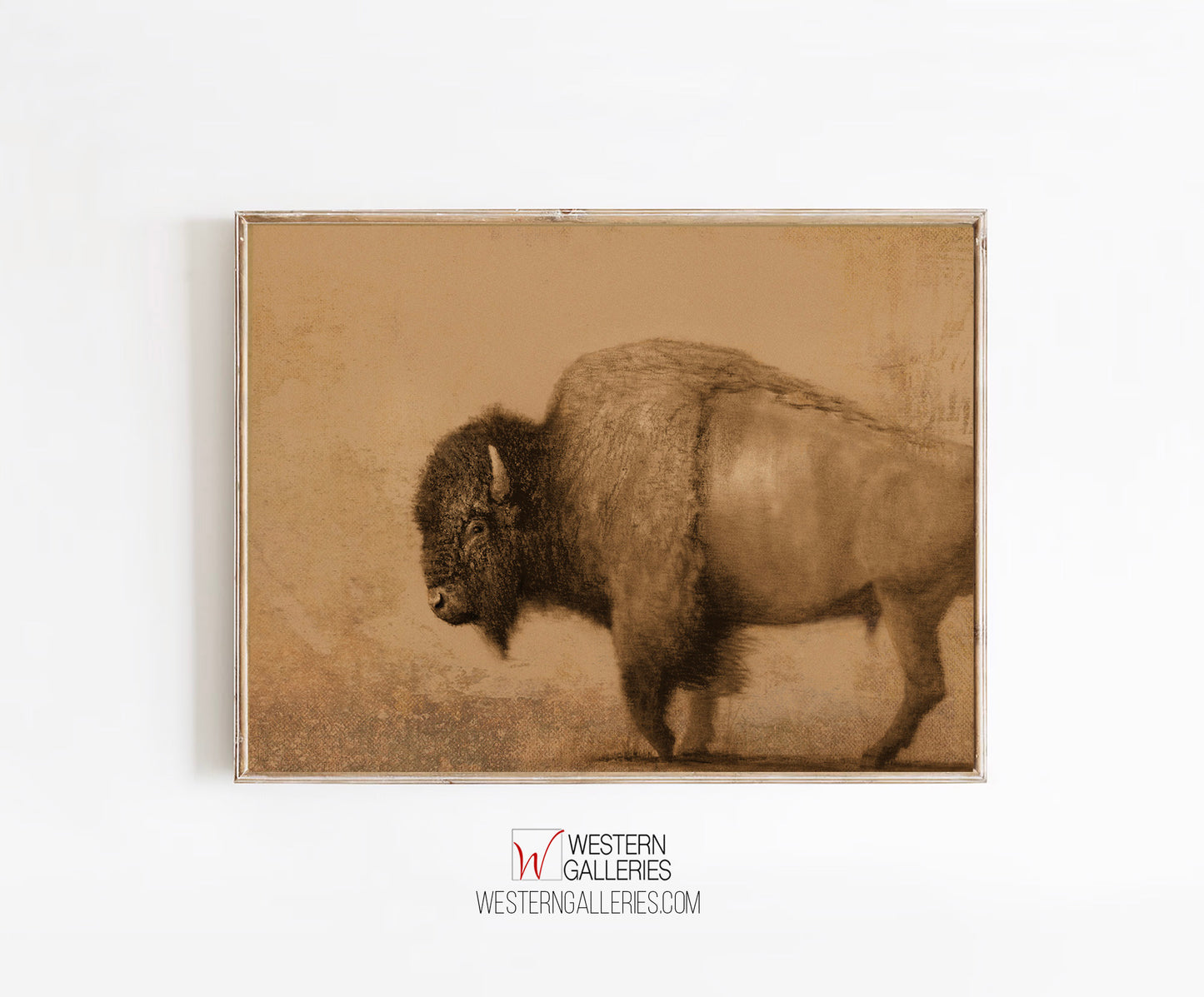 Slough Creek Bison