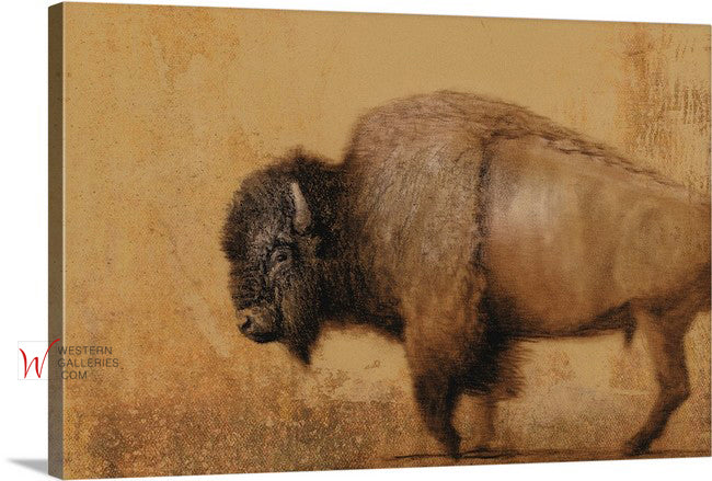 Slough Creek Bison