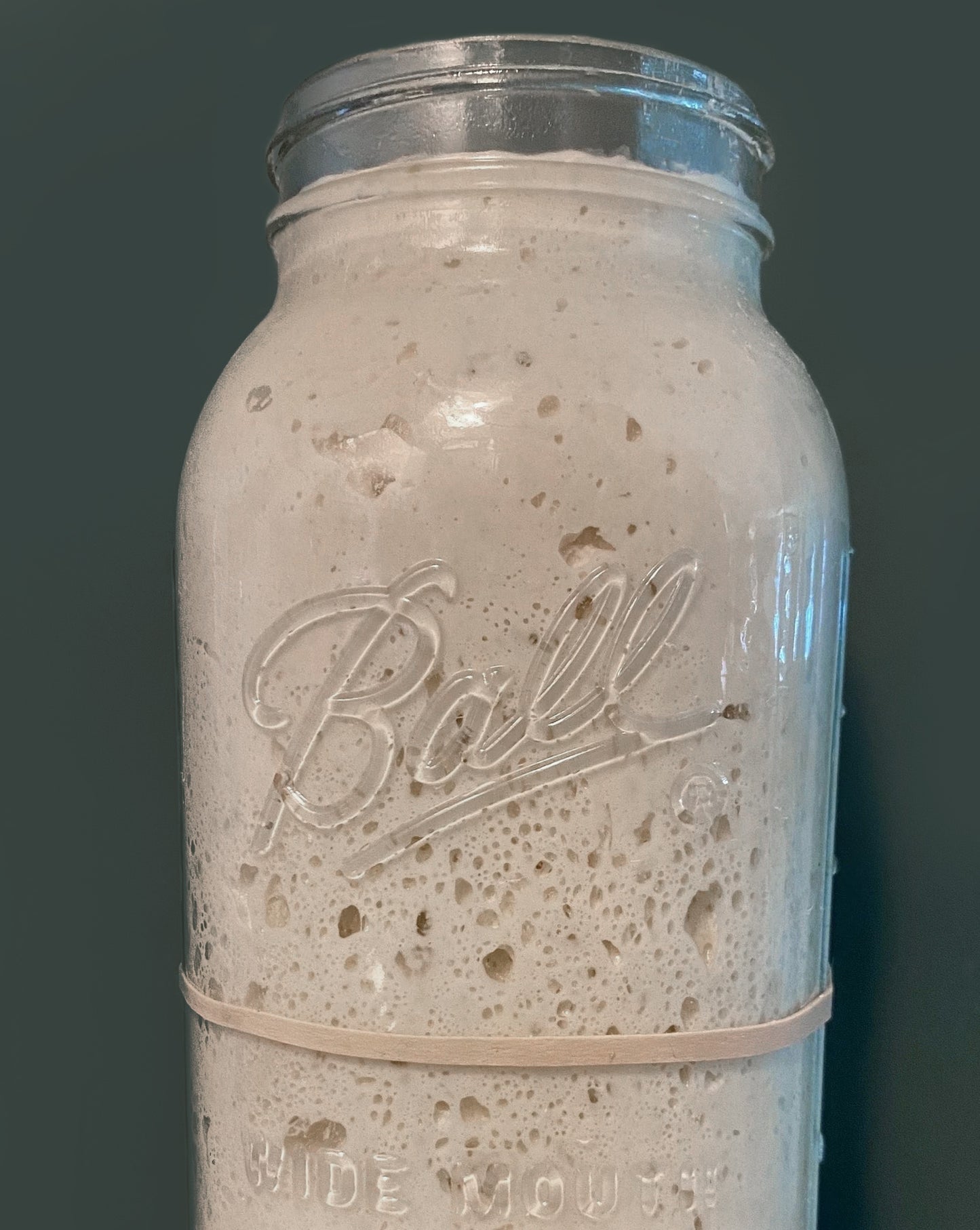 Sourdough Starter Crumbles NEW