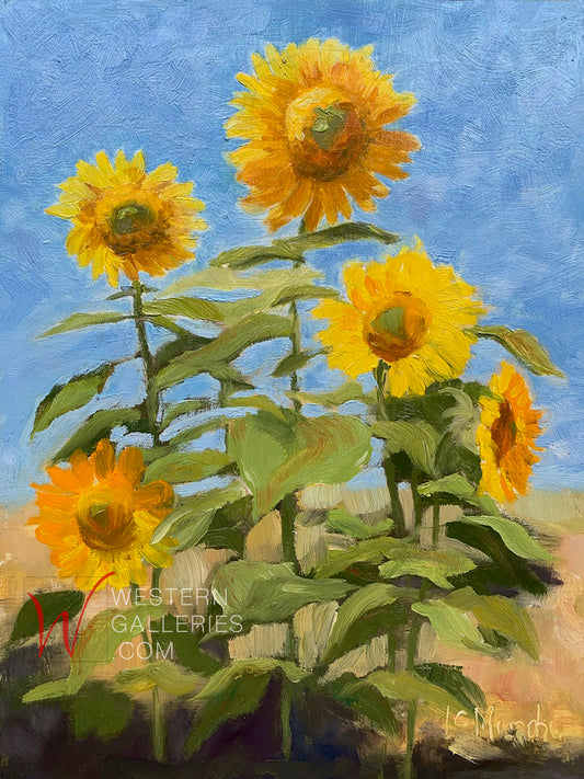 Sunflower Summer