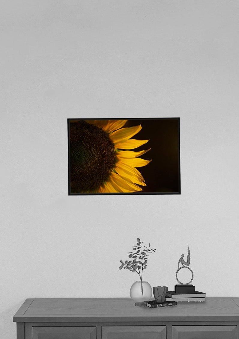 Sunflower Glow