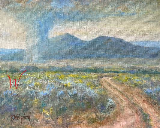 Taos Rain
