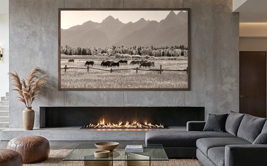 Teton Horses