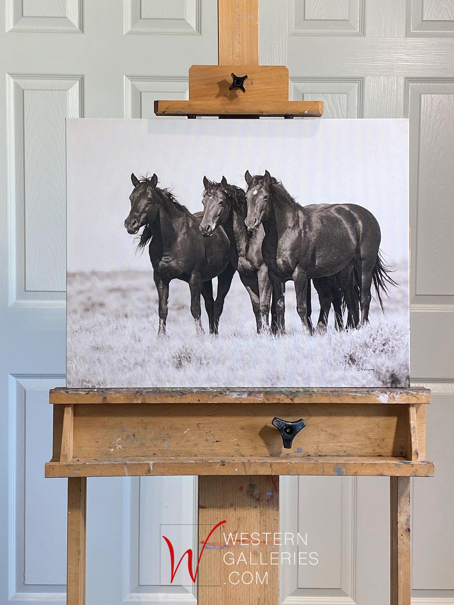 Wild Horses | McCullough Trio